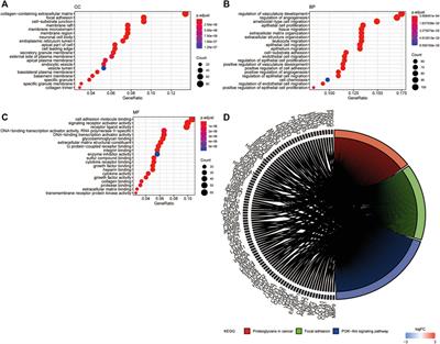 Angiogenesis-Related Gene Signature-Derived Risk Score for Glioblastoma: Prospects for Predicting Prognosis and Immune Heterogeneity in Glioblastoma